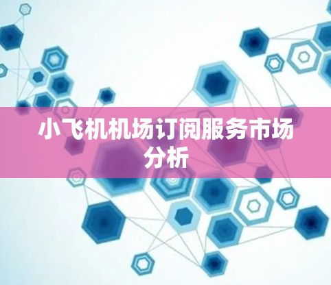 小飞机机场订阅服务市场分析