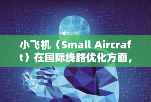 小飞机（Small Aircraft）在国际线路优化方面，可以从以下几个方面进行分析和建议