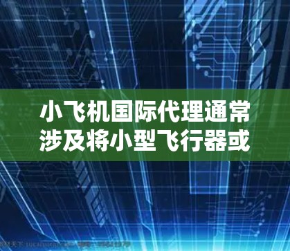 小飞机国际代理通常涉及将小型飞行器或相关技术产品和服务引入国际市场。以下是对该业务模式的详细分析