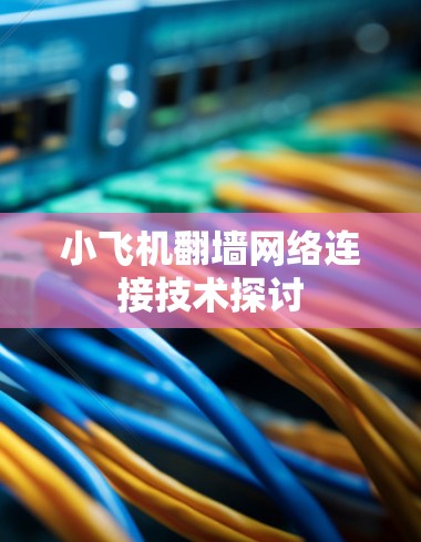 小飞机翻墙网络连接技术探讨