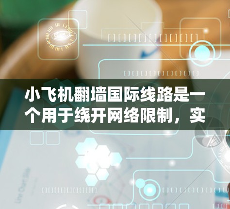 小飞机翻墙国际线路是一个用于绕开网络限制，实现跨国访问的工具。尽管信息有限，但可以推测它可能是一款轻便且用户友好的翻墙工具，类似于VPN或代理服务器。以下是对该项目的分析和总结