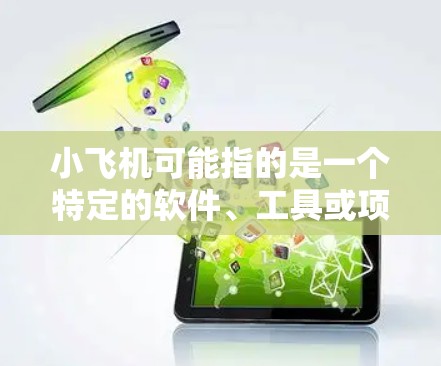 小飞机可能指的是一个特定的软件、工具或项目，但没有明确的上下文，很难确定它的具体功能或用途。如果你指的是某个特定的小飞机工具或项目，建议提供更多信息，以便我更好地帮助你