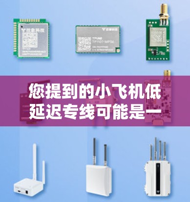 您提到的小飞机低延迟专线可能是一个专业术语，具体含义取决于上下文。以下是一些可能的解释
