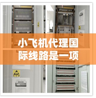 小飞机代理国际线路是一项复杂而具有挑战性的业务，涉及运营、法律、技术、安全和市场等多个方面。以下是对这一业务模式的详细分析