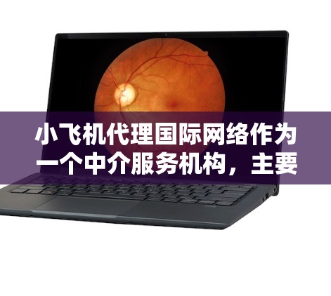 小飞机代理国际网络作为一个中介服务机构，主要帮助企业拓展国际市场业务，提供多方面的服务以支持企业的国际化进程。以下是其可能涵盖的主要服务内容