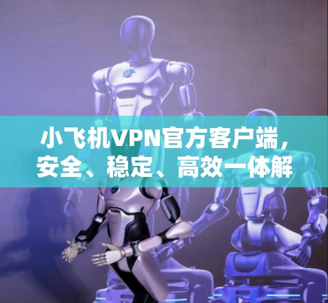 小飞机VPN官方客户端，安全、稳定、高效一体解