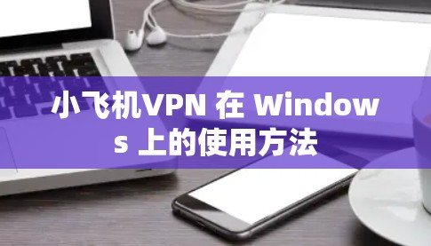 小飞机VPN 在 Windows 上的使用方法