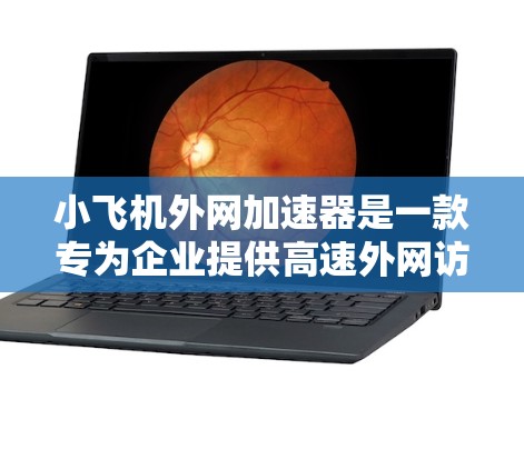 小飞机外网加速器是一款专为企业提供高速外网访问服务的解决方案，旨在优化访问外部网络资源的性能。以下是对该加速器的详细分析