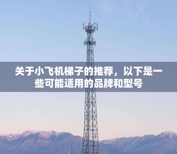 关于小飞机梯子的推荐，以下是一些可能适用的品牌和型号