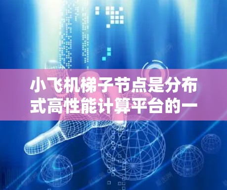 小飞机梯子节点是分布式高性能计算平台的一部分，负责连接上层应用和下层物理网络，提供计算、存储和网络功能。以下是设计小飞机梯子节点的关键步骤和考虑因素