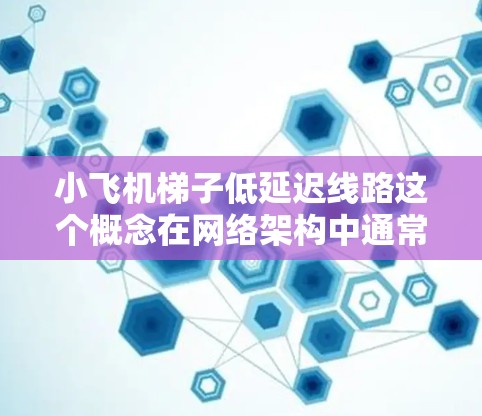 小飞机梯子低延迟线路这个概念在网络架构中通常指的是一种高效、低延迟的数据传输架构，常用于数据中心或云计算环境。以下是对该概念的详细解析