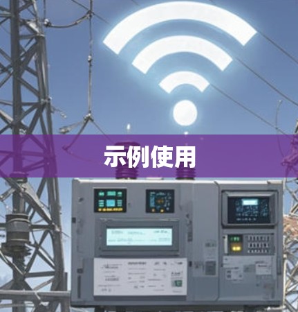 示例使用