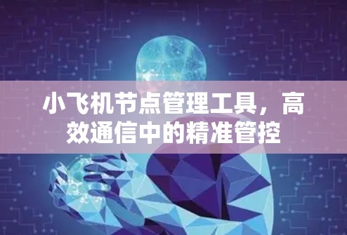 小飞机节点管理工具，高效通信中的精准管控