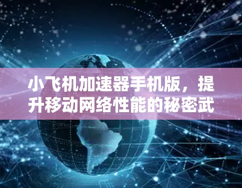 小飞机加速器手机版，提升移动网络性能的秘密武器