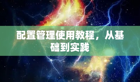 配置管理使用教程，从基础到实践