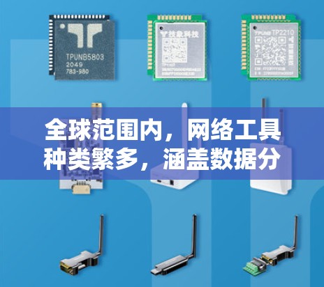 全球范围内，网络工具种类繁多，涵盖数据分析、项目管理、云服务、协作工具、网络安全等多个领域。以下是一些常见的网络工具分类和例子