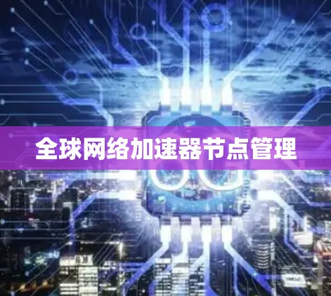 全球网络加速器节点管理
