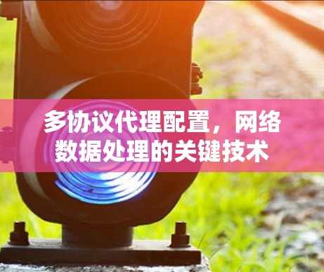 多协议代理配置，网络数据处理的关键技术