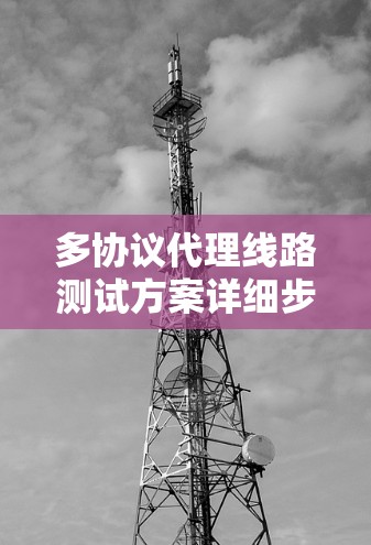 多协议代理线路测试方案详细步骤