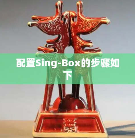 配置Sing-Box的步骤如下