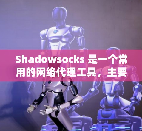 Shadowsocks 是一个常用的网络代理工具，主要用于绕过网络封锁，访问被限制的网站。以下是一份简单的使用指南，帮助你快速上手