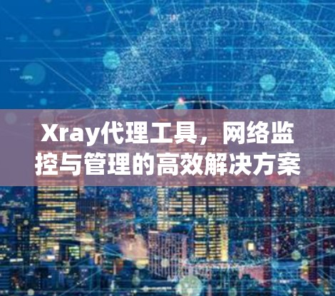 Xray代理工具，网络监控与管理的高效解决方案