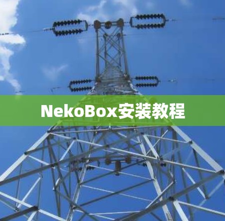 NekoBox安装教程