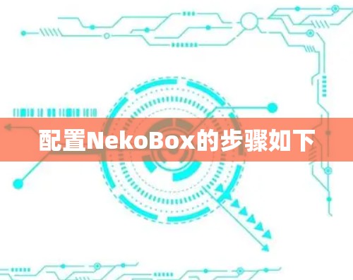 配置NekoBox的步骤如下
