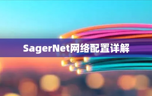 SagerNet网络配置详解