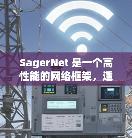 SagerNet 是一个高性能的网络框架，适用于机器学习和深度学习任务。以下是使用 SagerNet 的分步指南
