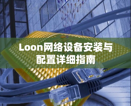 Loon网络设备安装与配置详细指南