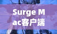 Surge Mac客户端，网络流量监控与管理的高效解决方案