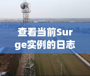 查看当前Surge实例的日志