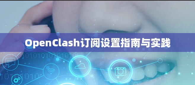 OpenClash订阅设置指南与实践