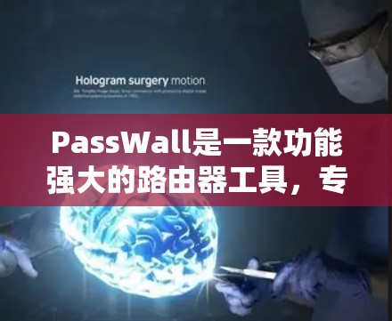 PassWall是一款功能强大的路由器工具，专注于提供安全的VPN服务，保护数据隐私。以下是PassWall的详细介绍和总结