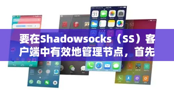 要在Shadowsocks（SS）客户端中有效地管理节点，首先需要了解SS客户端的基本结构和配置方法。以下是详细的步骤指南，帮助您正确添加、管理和优化节点配置，以确保高效和安全的网络连接