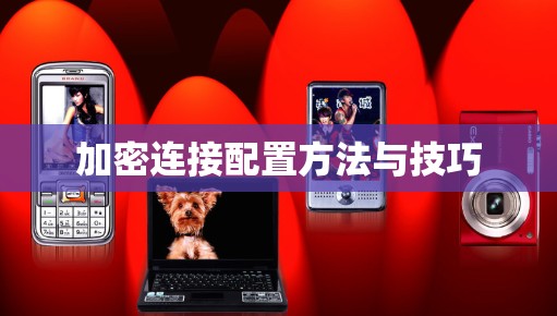 加密连接配置方法与技巧