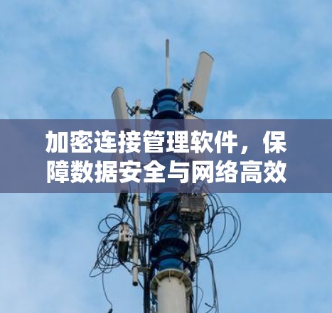 加密连接管理软件，保障数据安全与网络高效管理