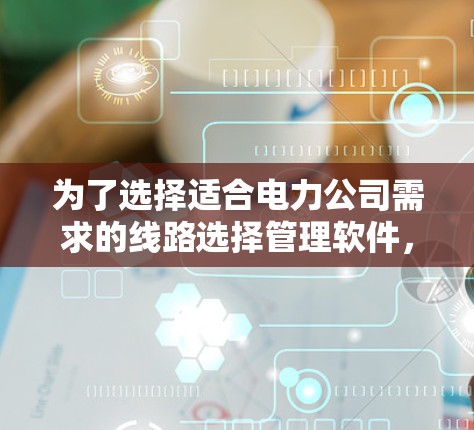 为了选择适合电力公司需求的线路选择管理软件，以下是一个有条理的步骤指南