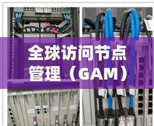 全球访问节点管理（GAM）是一个复杂而多层次的系统工程，涉及多个关键要素的协调与优化。以下是对GAM的详细分析和总结