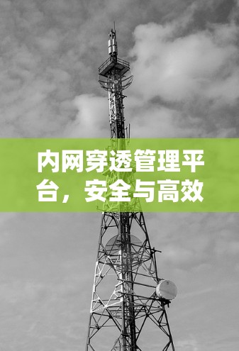 内网穿透管理平台，安全与高效的解决方案