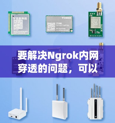 要解决Ngrok内网穿透的问题，可以按照以下步骤进行