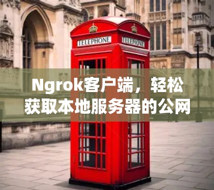 Ngrok客户端，轻松获取本地服务器的公网IP