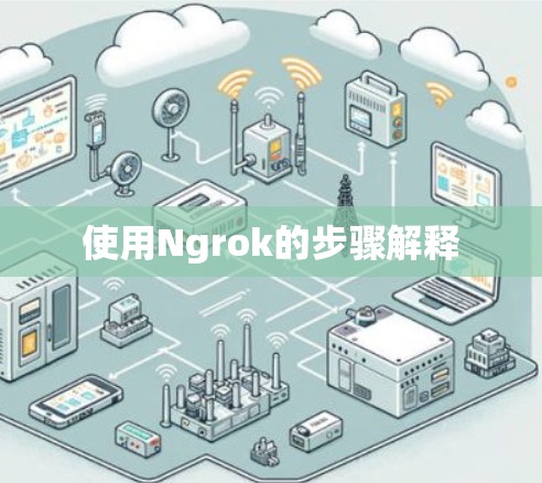使用Ngrok的步骤解释