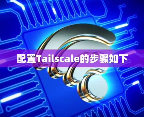 配置Tailscale的步骤如下
