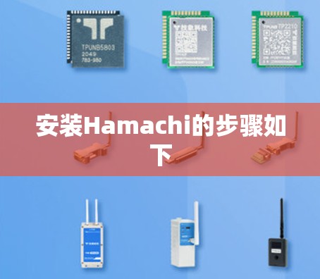 安装Hamachi的步骤如下