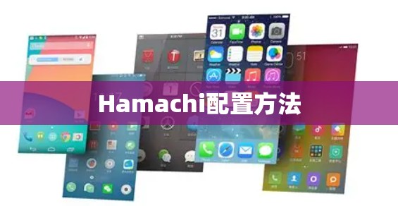 Hamachi配置方法