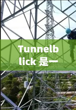 Tunnelblick 是一个基于 OpenVPN 的 VPN 客户端，用于连接到支持 OpenVPN 的服务器，提供安全的互联网访问。以下是使用 Tunnelblick 客户端的基本步骤