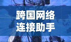 跨国网络连接助手旨在帮助用户理解和实现跨国网络的需求，提供多种解决方案以满足不同场景的需求。以下是详细的分步说明