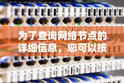 为了查询网络节点的详细信息，您可以按照以下步骤进行操作